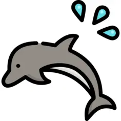 Dolphin