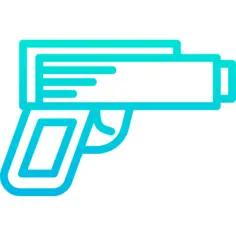 Gun