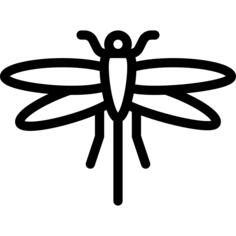 Dragon fly