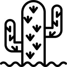 仙人掌