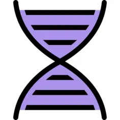 脱氧核糖核酸