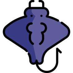 Manta ray