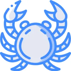 Cancer