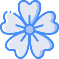 爵床科