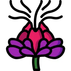 红花