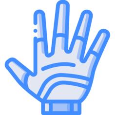 Glove