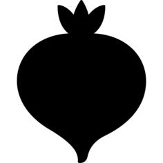 Turnip