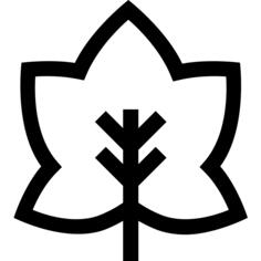 秋季