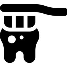 Tooth