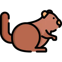 松鼠