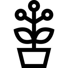 花盆