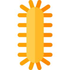 Centipede