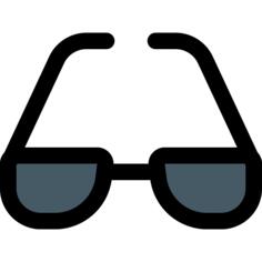 Eyeglasses