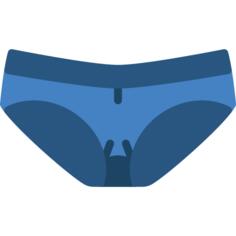 衩