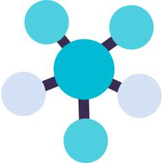 Network