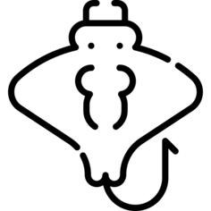 Manta ray