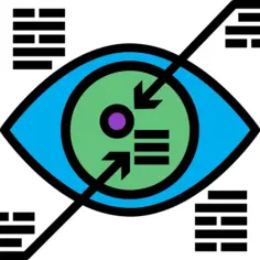 Vision