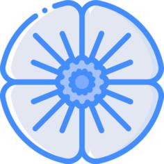 Poppy