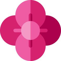 Poppy