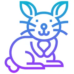 兔子