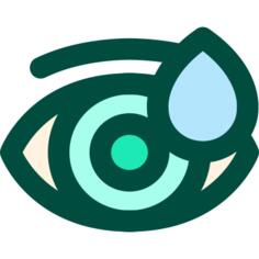 Eye