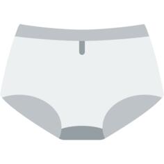 衩