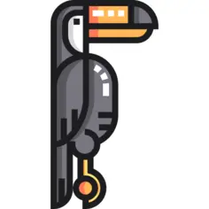 Toucan