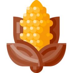 Corn