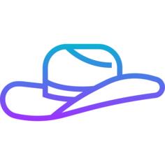 Cowboy hat