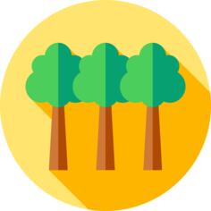 Trees