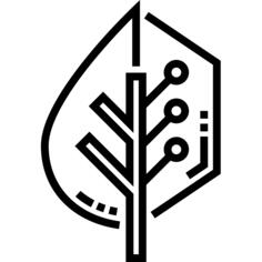 Symbiosis