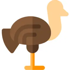 Ostrich