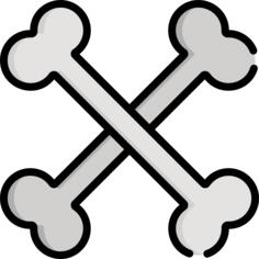 Bones