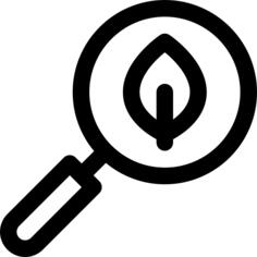 Search