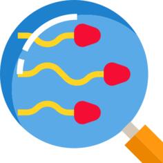 Sperm