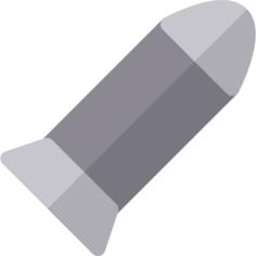 Bullet