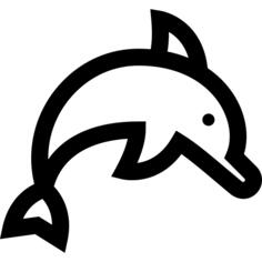 Dolphin