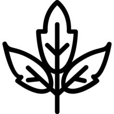 Leaf