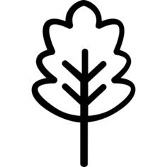 Leaf