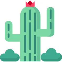 Cactus