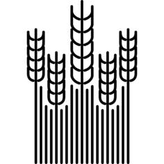 Wheat