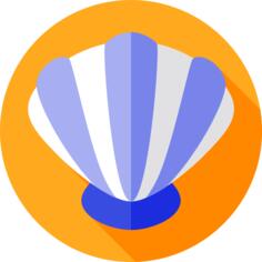 Shell