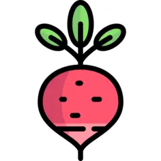 Radish