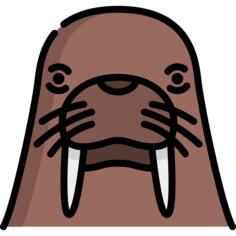 Walrus