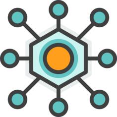 Network