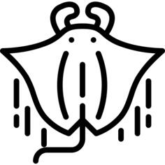 Manta ray