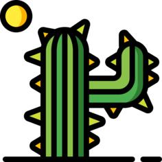 Cactus