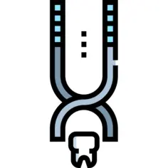 Tooth