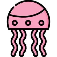 Jellyfish
