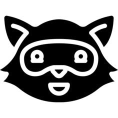 Raccoon